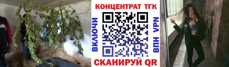 Дистиллят ТГК Wax Снежногорск