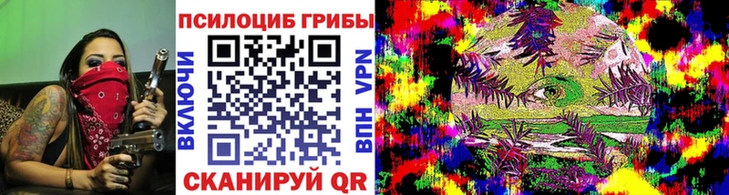 Псилоцибиновые грибы Psilocybine cubensis  OMG как войти  Снежногорск 